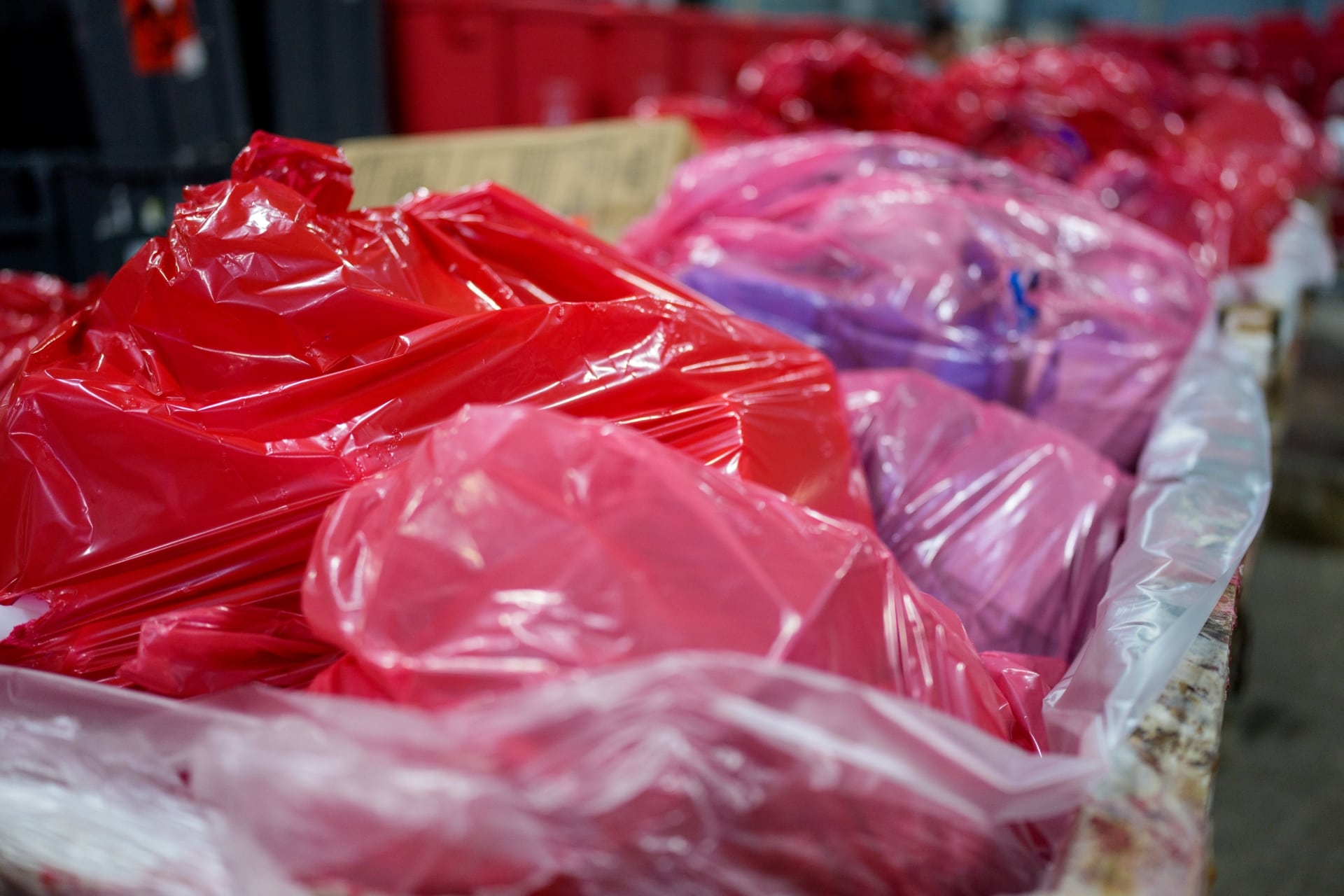 Regulated Medical Waste Disposal in Alexandria
